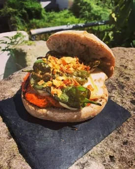 Burger Terra Meiga